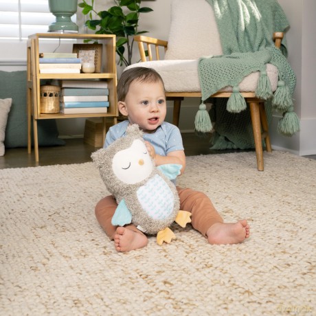 Ingenuity - Snuggle Sounds Nally Soothing Plush Toy (IN-12477)