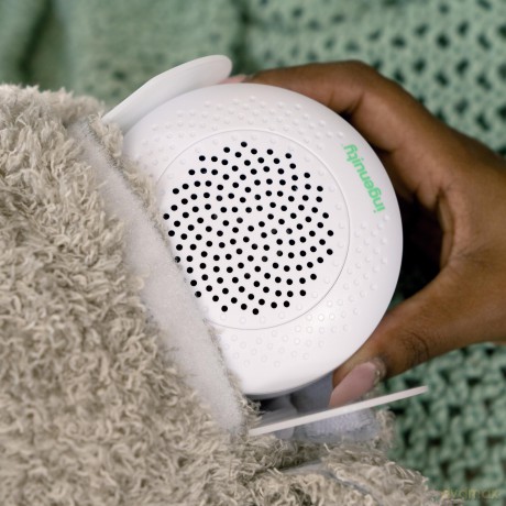 Ingenuity - Snuggle Sounds Nally Soothing Plush Toy (IN-12477)