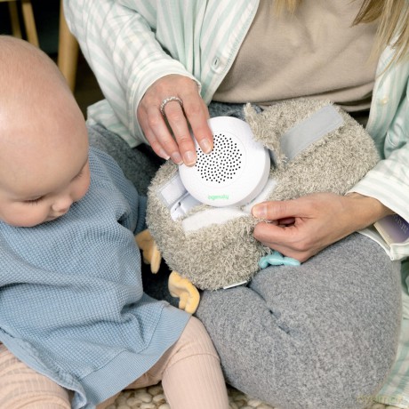 Ingenuity - Snuggle Sounds Nally Soothing Plush Toy (IN-12477)