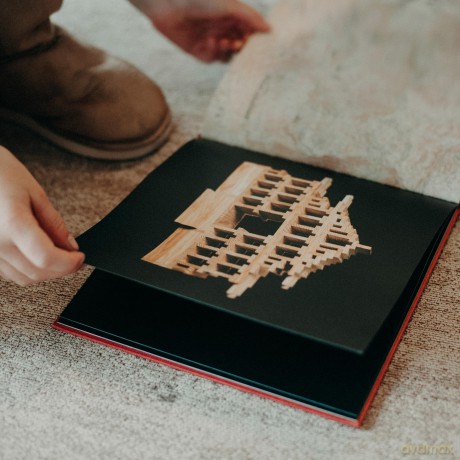 Kapla bricks 280 pcs - Red book (kapla280)