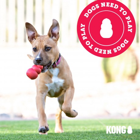 Kong - Ball w/Hole - M/L 7.5cm