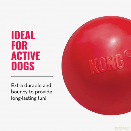 Kong - Ball w/Hole - M/L 7.5cm