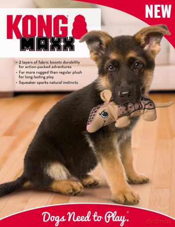 Kong - Maxx Shark - 26.5x15x5cm