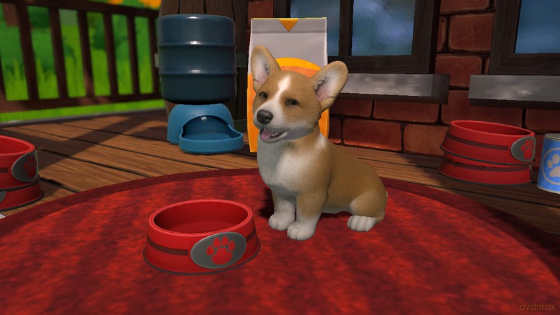Little Friends Puppy Island (Code in a Box)