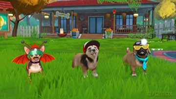 Little Friends Puppy Island (Code in a Box)