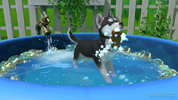 Little Friends Puppy Island (Code in a Box)