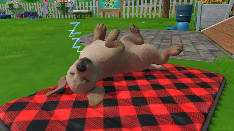 Little Friends Puppy Island (Code in a Box)