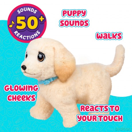 Little Live Pets - Ouchies (26679)