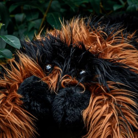 Mikamax - Giant Tarantula