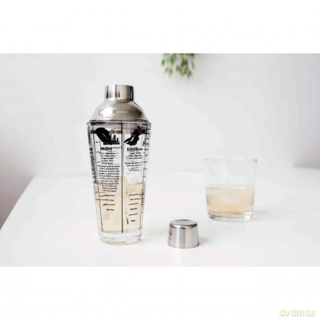 Mix Master Cocktail Shaker 16OZ (BA22)