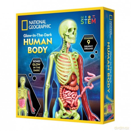 National Geographic - Human Body Science Kit (29-2454)