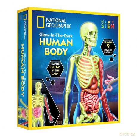 National Geographic - Human Body Science Kit (29-2454)