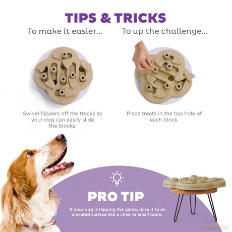 NINA OTTOSEN - Dog Challenge Slider
