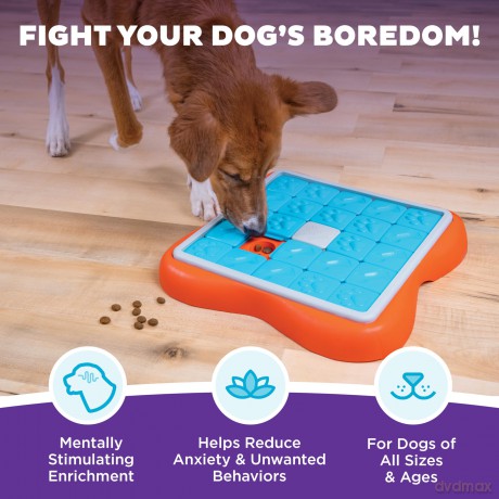NINA OTTOSEN - Dog Challenge Slider