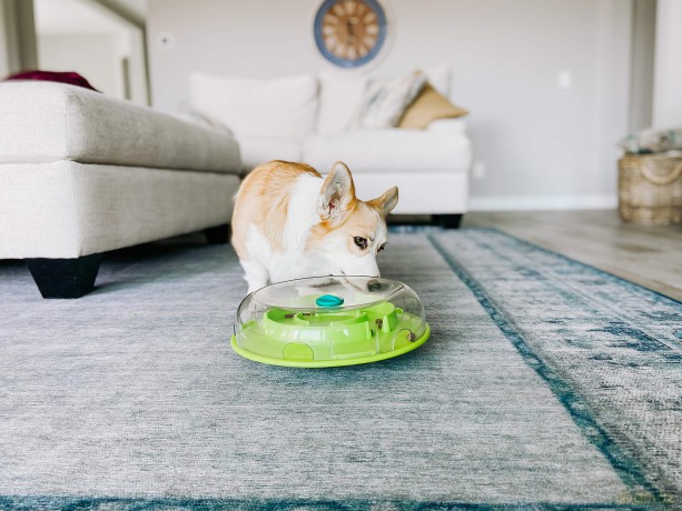 NINA OTTOSEN - Dog Wobble Bowl