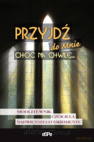 Przyjdź do mnie choć na chwilę... [KSIĄŻKA]