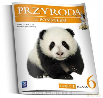 Przyroda SP Przyroda z pomysłem 6/1 ćw. NPP [KSIĄŻKA]
