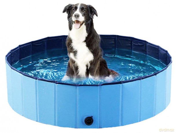 ozami - Dog Pool - Blue - 120x30 cm
