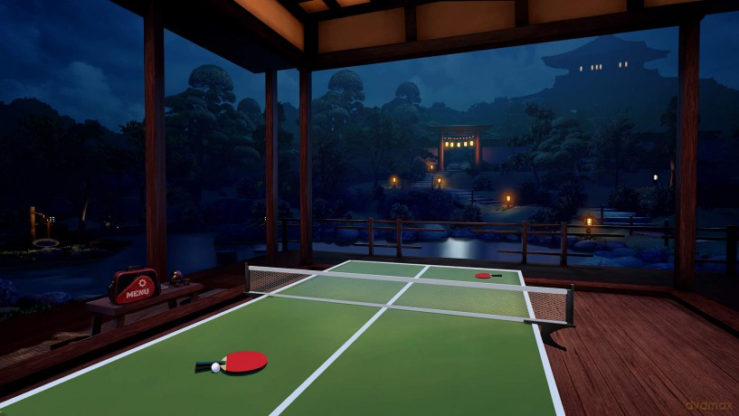 Ping Pong Pro (VR)