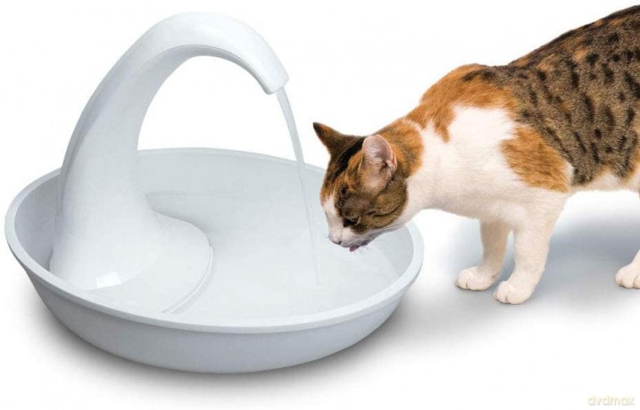 Pioneer - Swan Kunststoff - White - 2.36 L