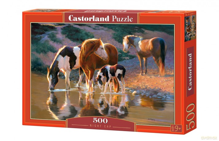 CASTOR Puzzle 500 Night Cap 133387 [PUZZLE]