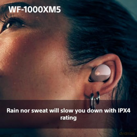 Sony - WF-1000XM5 True Wireless Earbuds