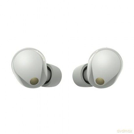 Sony - WF-1000XM5 True Wireless Earbuds Silver