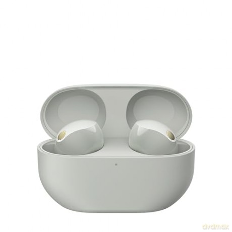 Sony - WF-1000XM5 True Wireless Earbuds Silver