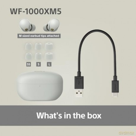 Sony - WF-1000XM5 True Wireless Earbuds Silver