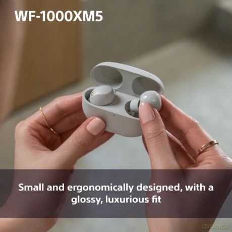 Sony - WF-1000XM5 True Wireless Earbuds Silver