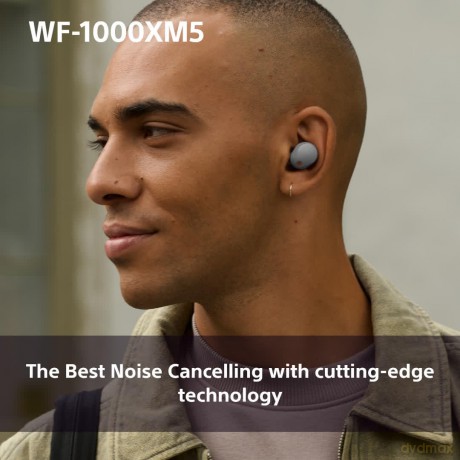 Sony - WF-1000XM5 True Wireless Earbuds Silver