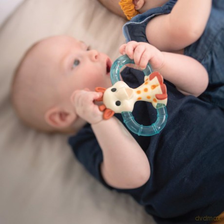 Sophie la Girafe - Double ice bite teether (010315)