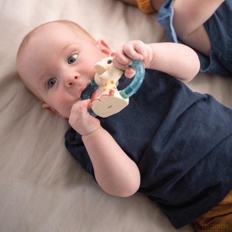Sophie la Girafe - Double ice bite teether (010315)