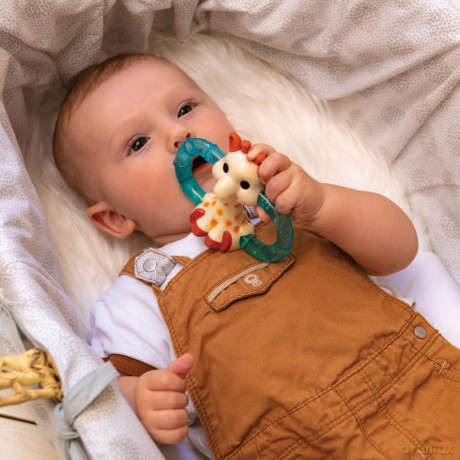 Sophie la Girafe - Double ice bite teether (010315)