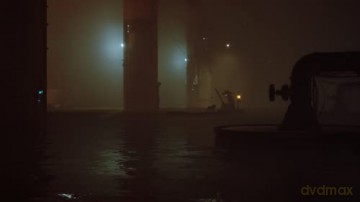 Stray