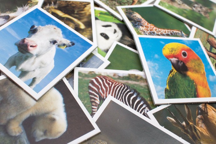 Tactic - Animal Babies Memo (52676)