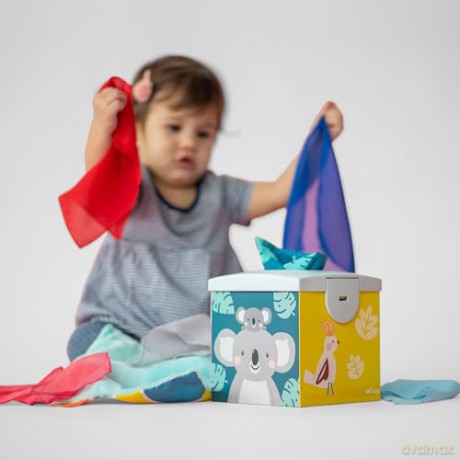 TAF - Kimmy Koala Wonder Tissue Box (259-12745)