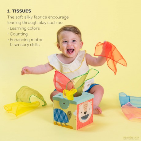 TAF - Kimmy Koala Wonder Tissue Box (259-12745)