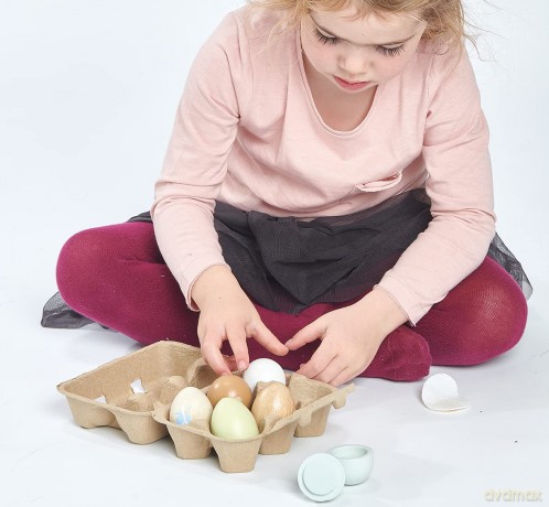 Tender Leaf - Wooden Eggs in Tray - (TL8285)