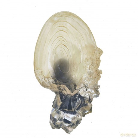 The Crystal Goblet