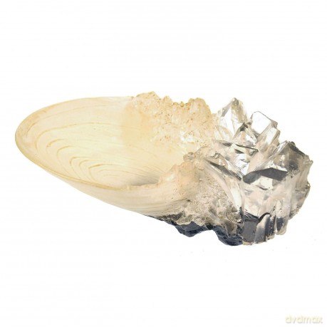 The Crystal Goblet