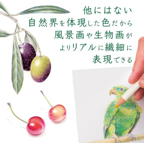 Tombow - Coloring pencils Irojiten