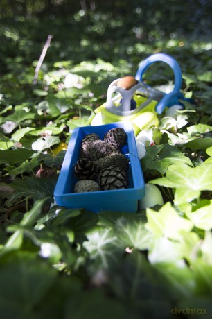 Viking Toys - Tractor W/trailer, Man & 3 Animals (130038)