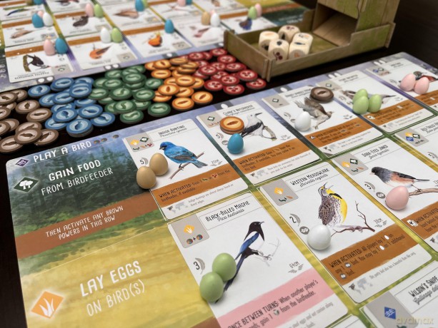 Wingspan - Boardgame (English) (STM910)