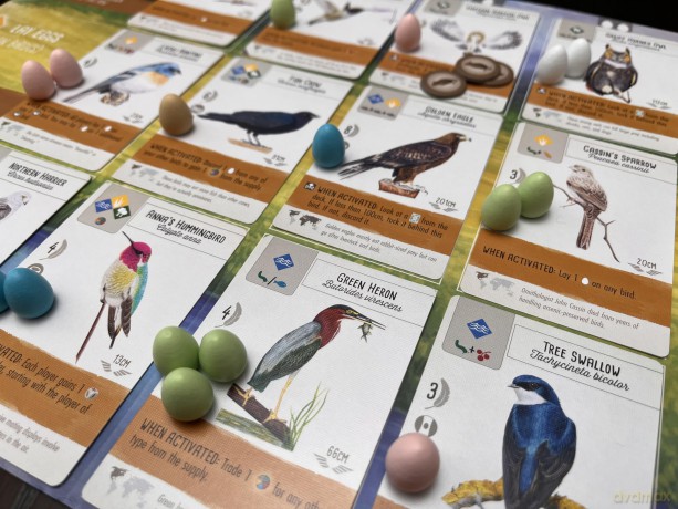 Wingspan - Boardgame (English) (STM910)