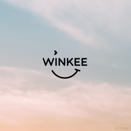 Winkee - Airplane Bike Accessory