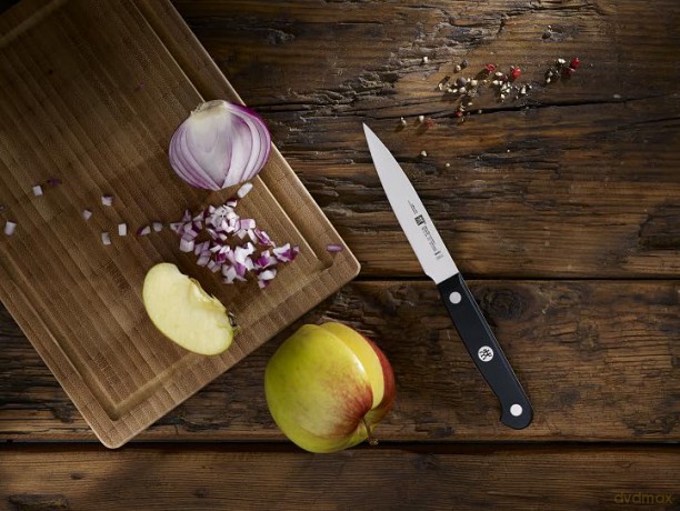 Zwilling - Gourmet Knife Set, 2 pcs.