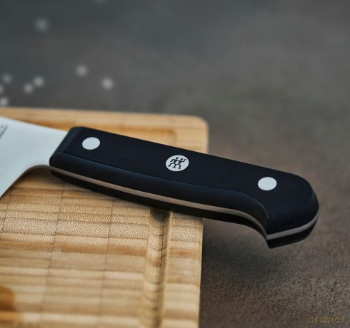 Zwilling - Gourmet Knife Set, 2 pcs.
