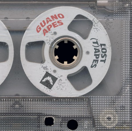Guano Apes: The Lost (T)Apes [Winyl]