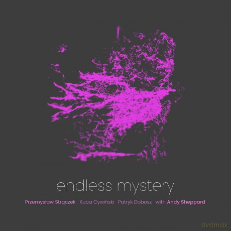 Przemysław Strączek: Endless Mystery [2xWinyl]